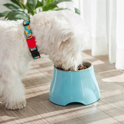 Great Pet Accessory Ergonomic Food Bowl Cat Plates Dogs Elevated Large Feeder High Container Water Dog Bowl Raised for Dogs High