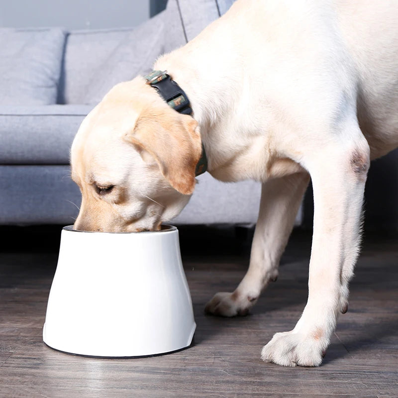 Great Pet Accessory Ergonomic Food Bowl Cat Plates Dogs Elevated Large Feeder High Container Water Dog Bowl Raised for Dogs High